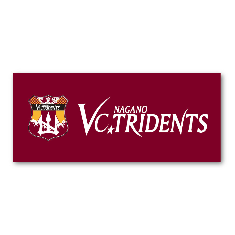 チームロゴフェイスタオル